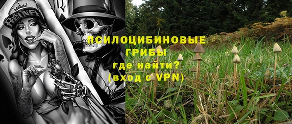 шишки Кукмор