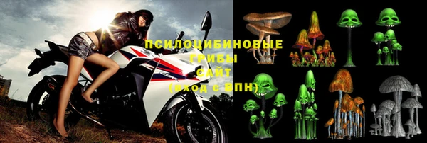 шишки Кукмор