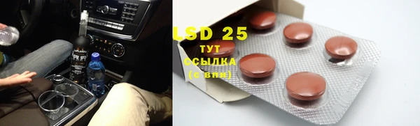 шишки Кукмор