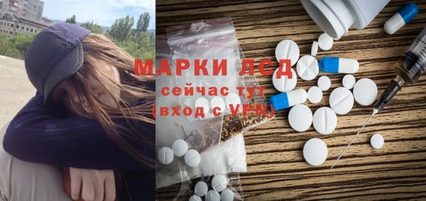 шишки Кукмор
