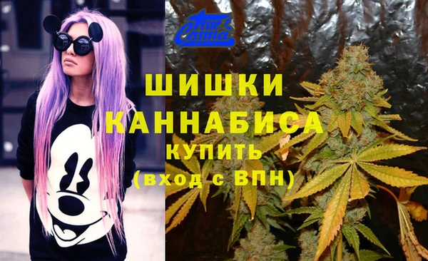 шишки Кукмор