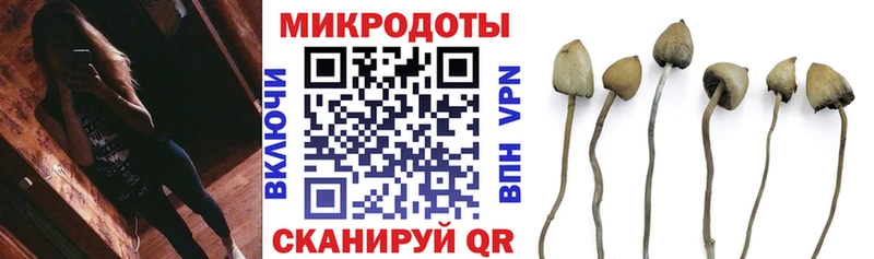 Псилоцибиновые грибы мицелий  Купить  Алупка 