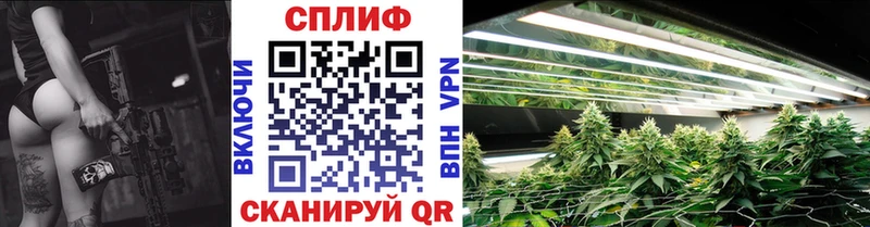 Бошки Шишки SATIVA & INDICA  Купить закладки  Алупка 